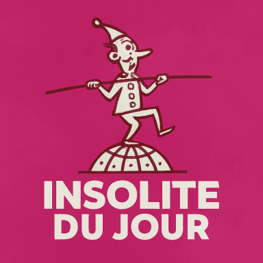 L'insolite du jour